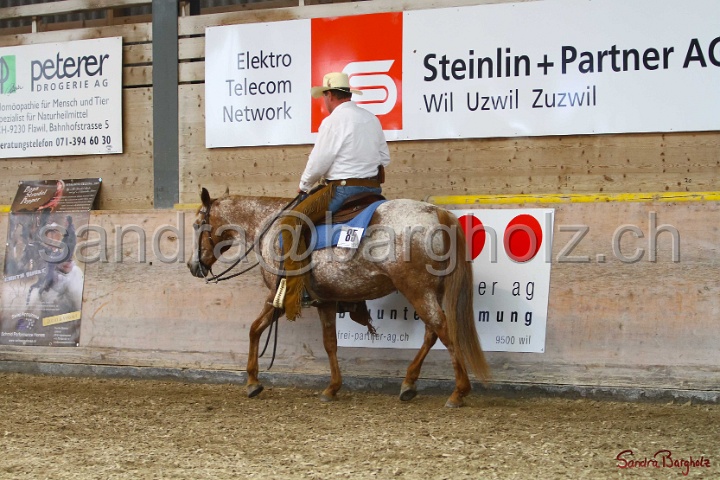31-ApHC OWP_001.jpg